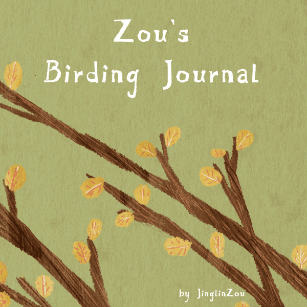 Zou's Birding Journal